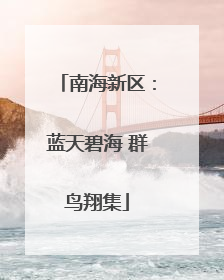 南海新区：蓝天碧海 群鸟翔集