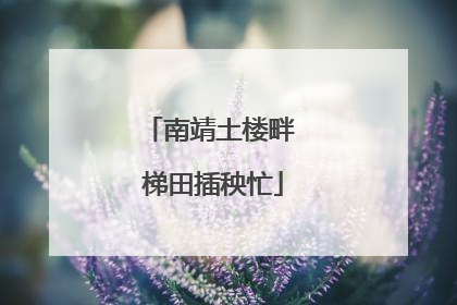 南靖土楼畔 梯田插秧忙