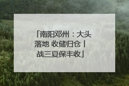 南阳邓州：大头落地 收储归仓丨战三夏保丰收