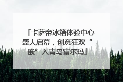 卡萨帝冰箱体验中心盛大启幕，创意狂欢“嵌”入青岛富尔玛