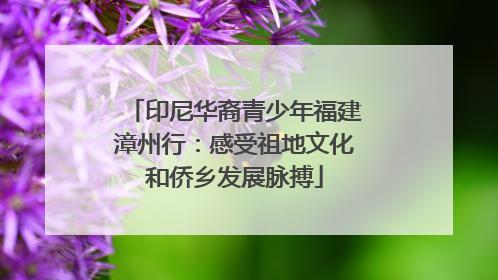 印尼华裔青少年福建漳州行：感受祖地文化和侨乡发展脉搏