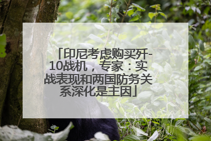 印尼考虑购买歼-10战机，专家：实战表现和两国防务关系深化是主因