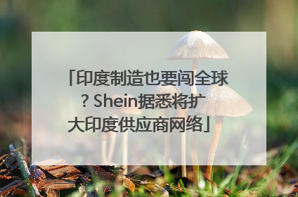 印度制造也要闯全球？Shein据悉将扩大印度供应商网络