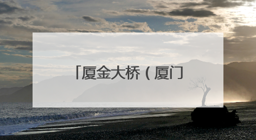 厦金大桥（厦门段）“厦金号”盾构机始发 福建省最大直径盾构隧道正式掘进