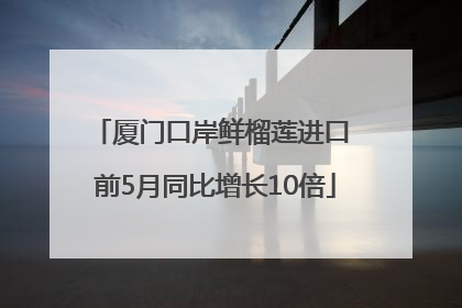 厦门口岸鲜榴莲进口 前5月同比增长10倍