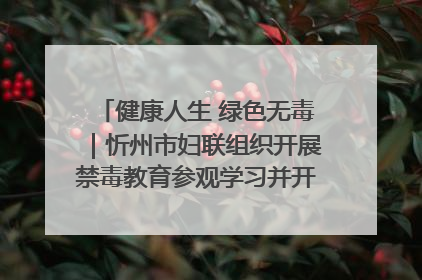 健康人生 绿色无毒｜忻州市妇联组织开展禁毒教育参观学习并开展主题党日活动