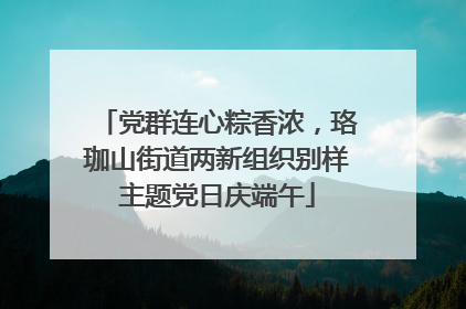 党群连心粽香浓，珞珈山街道两新组织别样主题党日庆端午