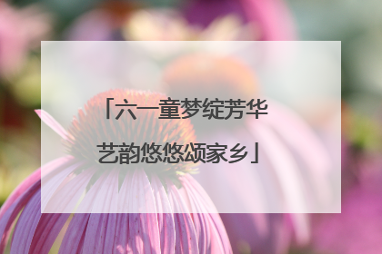六一童梦绽芳华 艺韵悠悠颂家乡