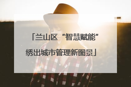兰山区“智慧赋能”绣出城市管理新图景
