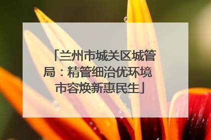 兰州市城关区城管局：精管细治优环境 市容焕新惠民生