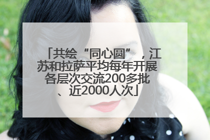 共绘“同心圆”，江苏和拉萨平均每年开展各层次交流200多批、近2000人次