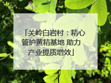 关岭白岩村：精心管护黄精基地 助力产业提质增效