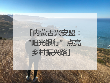 内蒙古兴安盟：“阳光银行”点亮乡村振兴路