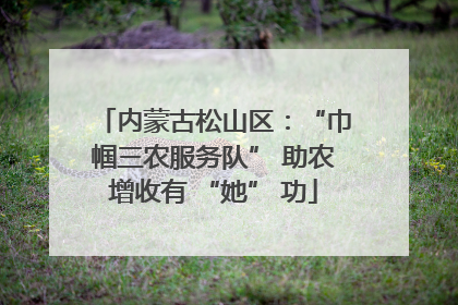 内蒙古松山区：“巾帼三农服务队” 助农增收有 “她” 功