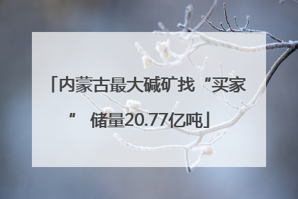 内蒙古最大碱矿找“买家” 储量20.77亿吨