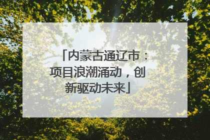 内蒙古通辽市：项目浪潮涌动，创新驱动未来
