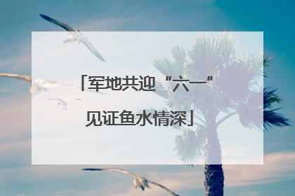 军地共迎“六一” 见证鱼水情深