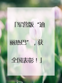 军营版“迪丽热巴”，获全国表彰！