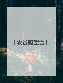 农谷瞭望台