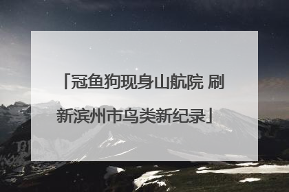 冠鱼狗现身山航院 刷新滨州市鸟类新纪录