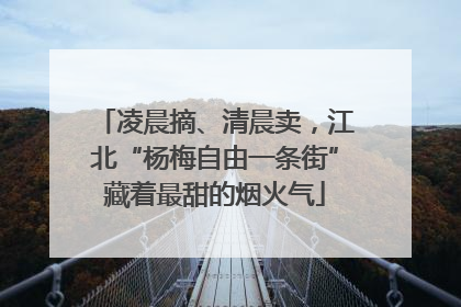 凌晨摘、清晨卖，江北“杨梅自由一条街”藏着最甜的烟火气