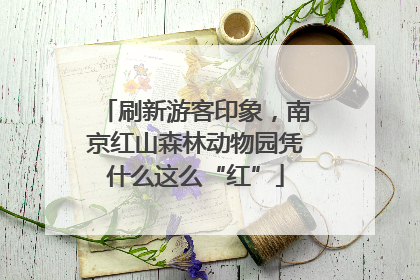 刷新游客印象，南京红山森林动物园凭什么这么“红”