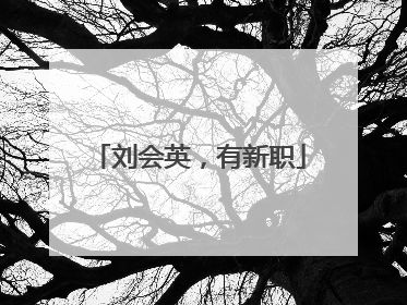 刘会英，有新职