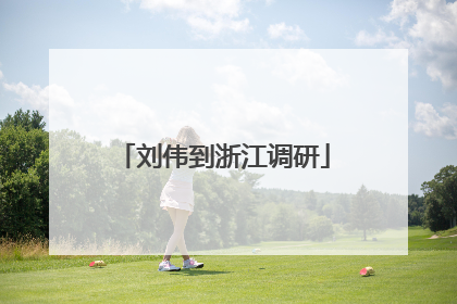 刘伟到浙江调研