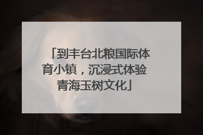 到丰台北粮国际体育小镇，沉浸式体验青海玉树文化