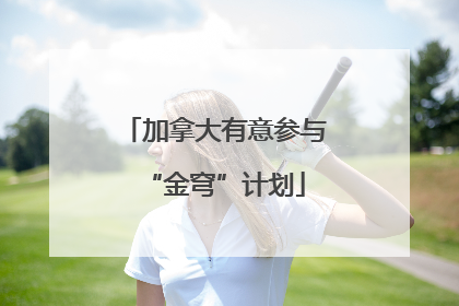 加拿大有意参与“金穹”计划