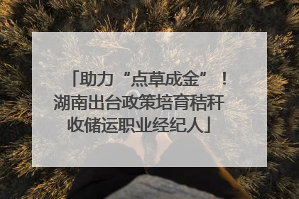 助力“点草成金”！湖南出台政策培育秸秆收储运职业经纪人