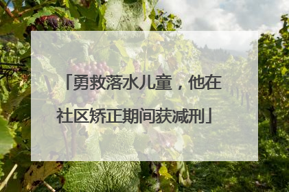 勇救落水儿童，他在社区矫正期间获减刑