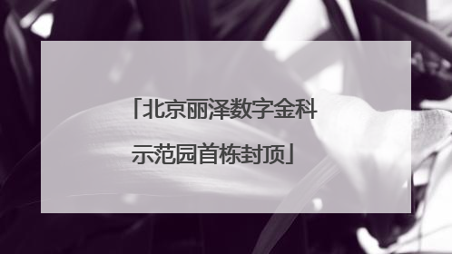 北京丽泽数字金科示范园首栋封顶