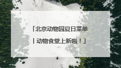 北京动物园夏日菜单丨动物食堂上新啦！
