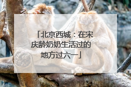 北京西城：在宋庆龄奶奶生活过的地方过六一