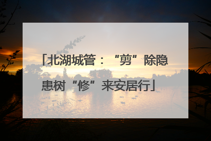 北湖城管：“剪”除隐患树“修”来安居行
