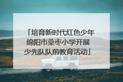 培育新时代红色少年 绵阳市桑枣小学开展少先队队前教育活动
