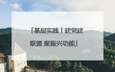 基层实践丨建党建联盟 聚振兴功能