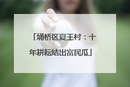 埇桥区夏王村：十年耕耘结出富民瓜