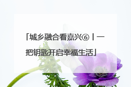 城乡融合看嘉兴⑥丨一把钥匙开启幸福生活