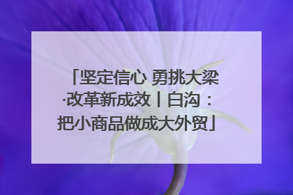 坚定信心 勇挑大梁·改革新成效丨白沟：把小商品做成大外贸