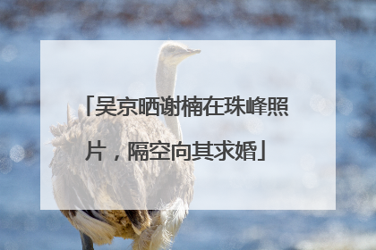 吴京晒谢楠在珠峰照片，隔空向其求婚