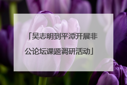 吴志明到平潭开展非公论坛课题调研活动