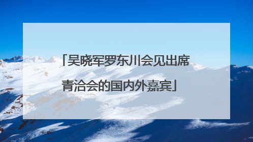 吴晓军罗东川会见出席青洽会的国内外嘉宾