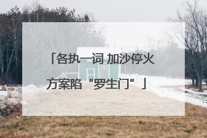 各执一词 加沙停火方案陷“罗生门”