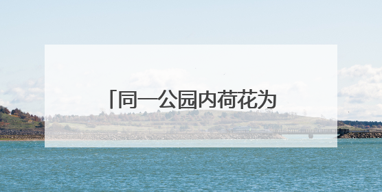 同一公园内荷花为何不同时盛开 业内人士：受多因素影响 属正常现象