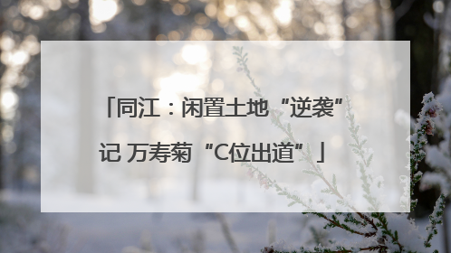 同江：闲置土地“逆袭”记 万寿菊“C位出道”