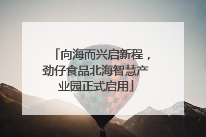 向海而兴启新程，劲仔食品北海智慧产业园正式启用