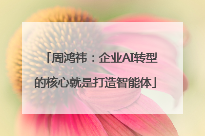 周鸿祎：企业AI转型的核心就是打造智能体