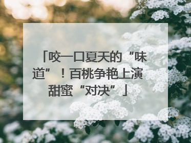 咬一口夏天的“味道”！百桃争艳上演甜蜜“对决”